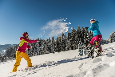 001188_Schneeschuhwandern_Daniel-Reiter-Peter-von-Felbert